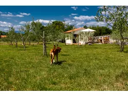 Bild zur gratis inserierten Ferienwohnung Ferienwohnung-3574914.