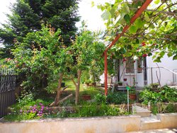 Bild zur gratis inserierten Ferienwohnung Ferienwohnung-143609.