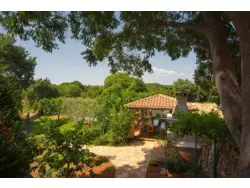 Bild zur gratis inserierten Ferienwohnung Ferienhaus-258946.