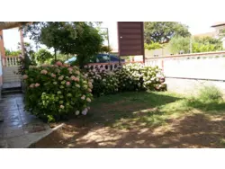 Ferienwohnung Ferienwohnung-261074 in Općina Bibinje - 6 Personen, Hund nicht erlaubt