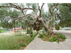 Bild zur gratis inserierten Ferienwohnung Ferienwohnung-421030.