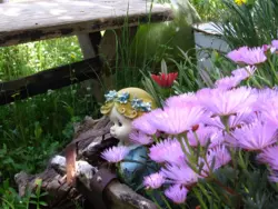 Bild zur gratis inserierten Ferienwohnung Ferienwohnung-427269.