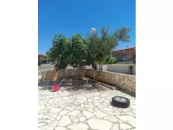 Bild zur gratis inserierten Ferienwohnung Ferienwohnung-436847.