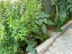 Bild zur gratis inserierten Ferienwohnung Ferienwohnung-464076.