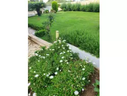 Bild zur gratis inserierten Ferienwohnung Ferienwohnung-488407.