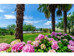 Bild zur gratis inserierten Ferienwohnung Ferienwohnung-601117.