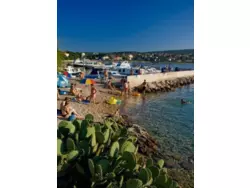 Bild zur gratis inserierten Ferienwohnung Ferienwohnung-608270.