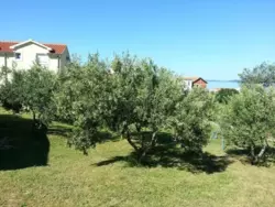 Bild zur gratis inserierten Ferienwohnung Ferienhaus-637425.