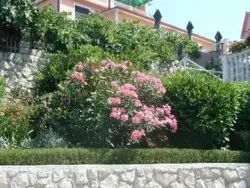 Bild zur gratis inserierten Ferienwohnung Ferienwohnung-682224.