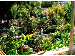 Bild zur gratis inserierten Ferienwohnung Ferienwohnung-725601.