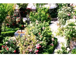 Bild zur gratis inserierten Ferienwohnung Ferienwohnung-725682.