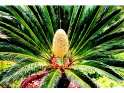 Bild zur gratis inserierten Ferienwohnung Ferienwohnung-726090.