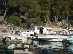 Ferienwohnung Ferienwohnung-791814 in Općina Kolan - 2 Personen, Hund nicht erlaubt