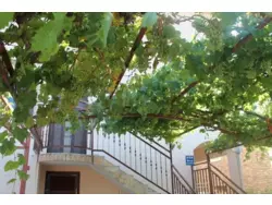 Bild zur gratis inserierten Ferienwohnung Ferienwohnung-836350.