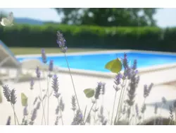 Ferienhaus Ferienhaus-840360 in Općina Tinjan - 6 Personen, Hund nicht erlaubt