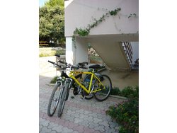 Bild zur gratis inserierten Ferienwohnung Ferienwohnung-916485.