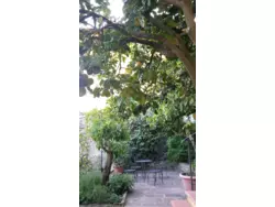 Ferienwohnung Ferienwohnung-928536 in Uzzano - 3 Personen, Hund erlaubt