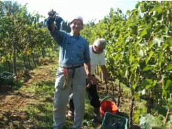 Bild zur gratis inserierten Ferienwohnung Ferienwohnung-937724.