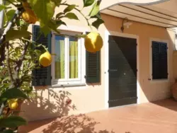 Bild zur gratis inserierten Ferienwohnung Ferienhaus-956646.