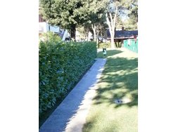 Bild zur gratis inserierten Ferienwohnung Ferienwohnung-1025932.