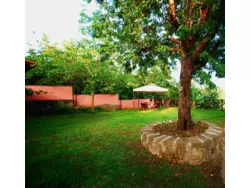 Bild zur gratis inserierten Ferienwohnung Ferienhaus-1145463.