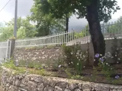 Ferienhaus Ferienhaus-1146652 in San Giovanni a Piro - 8 Personen, Hund nicht erlaubt