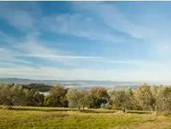 Ferienwohnung Ferienwohnung-26422 in Trequanda - 4 Personen, Hund nicht erlaubt