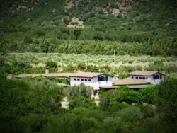 Bild zur gratis inserierten Ferienwohnung Ferienhaus-369729.