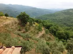 Bild zur gratis inserierten Ferienwohnung Ferienwohnung-1010745.