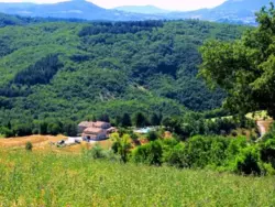 Ferienwohnung Ferienwohnung-1147081 in Cagli - 4 Personen, Hund nicht erlaubt