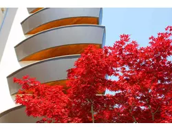 Bild zur gratis inserierten Ferienwohnung Ferienwohnung-1225299.