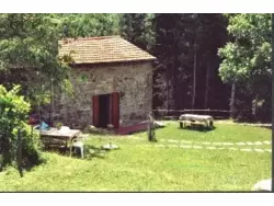 Ferienwohnung Ferienwohnung-670006 in Bibbiena - 5 Personen, Hund erlaubt