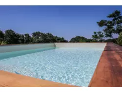 Ferienwohnung Ferienwohnung-1270956 in Monterotondo Marittimo - 4 Personen, Hund erlaubt