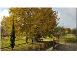 Bild zur gratis inserierten Ferienwohnung Ferienhaus-1320876.