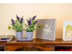 Ferienhaus Ferienhaus-1335746 in Borgomaro - 5 Personen, Hund nicht erlaubt