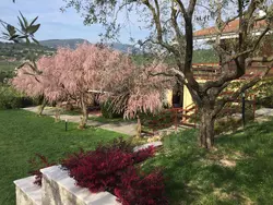 Bild zur gratis inserierten Ferienwohnung Ferienwohnung-1341620.