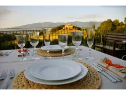 Ferienwohnung Ferienwohnung-1393127 in Figline e Incisa Valdarno - 2 Personen, Hund erlaubt