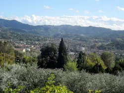 Bild zur gratis inserierten Ferienwohnung Ferienhaus-1477724.