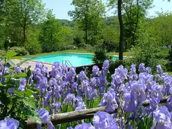 Ferienwohnung Ferienwohnung-1486032 in Proceno - 3 Personen, Hund erlaubt