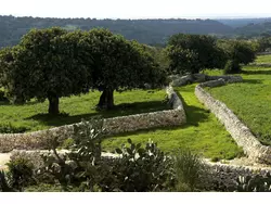 Bild zur gratis inserierten Ferienwohnung Ferienwohnung-1502956.