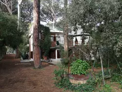 Bild zur gratis inserierten Ferienwohnung Ferienwohnung-1528819.