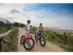 Bild zur gratis inserierten Ferienwohnung Ferienwohnung-1537930.