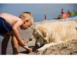 Bild zur gratis inserierten Ferienwohnung Ferienwohnung-1543559.