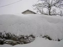 Bild zur gratis inserierten Ferienwohnung Ferienwohnung-1562319.