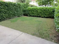 Bild zur gratis inserierten Ferienwohnung Ferienwohnung-1567770.