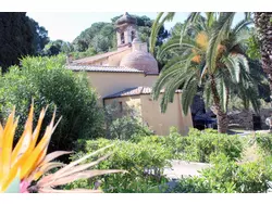 Ferienwohnung Ferienwohnung-1584793 in Capoliveri - 4 Personen, Hund erlaubt