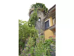 Bild zur gratis inserierten Ferienwohnung Ferienwohnung-1587633.