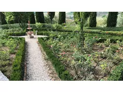 Ferienwohnung Ferienwohnung-1614781 in Chiusi - 2 Personen, Hund nicht erlaubt