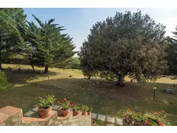 Bild zur gratis inserierten Ferienwohnung Ferienwohnung-1636778.