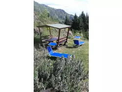 Ferienwohnung Ferienwohnung-1669727 in Borzonasca - 3 Personen, Hund erlaubt